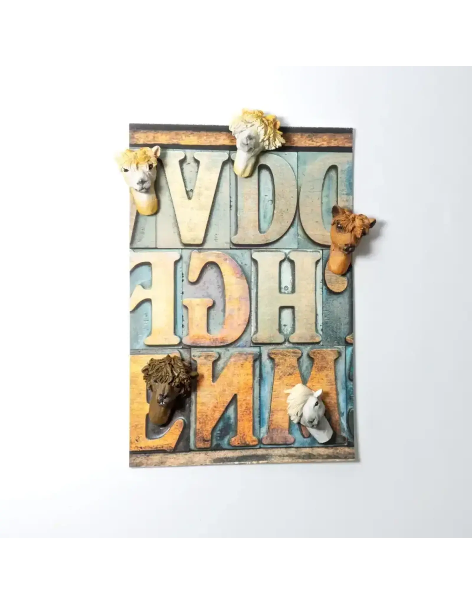 Interhal Retail Magneet Alpaca - 5st