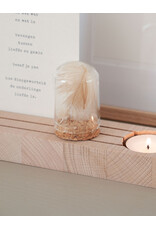 Roosmarijn Knijnenburg Hold it + Abundance