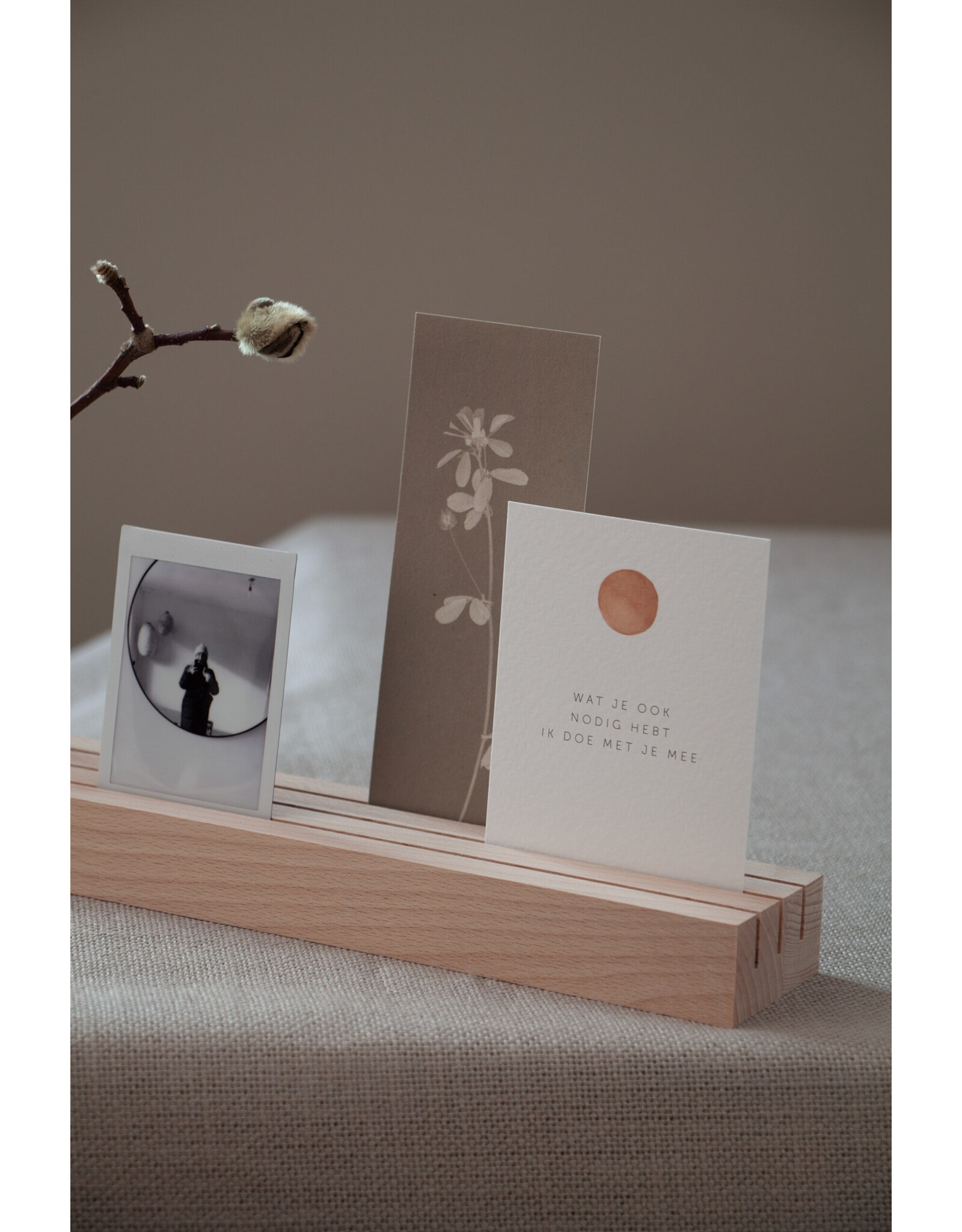 Roosmarijn Knijnenburg Hold it + Abundance