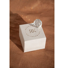 Roosmarijn Knijnenburg Zonnevanger, In gedachten geen vaarwel