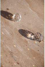 Roosmarijn Knijnenburg Zonnevanger, Schijn en geniet