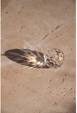 Roosmarijn Knijnenburg Zonnevanger, Schijn en geniet