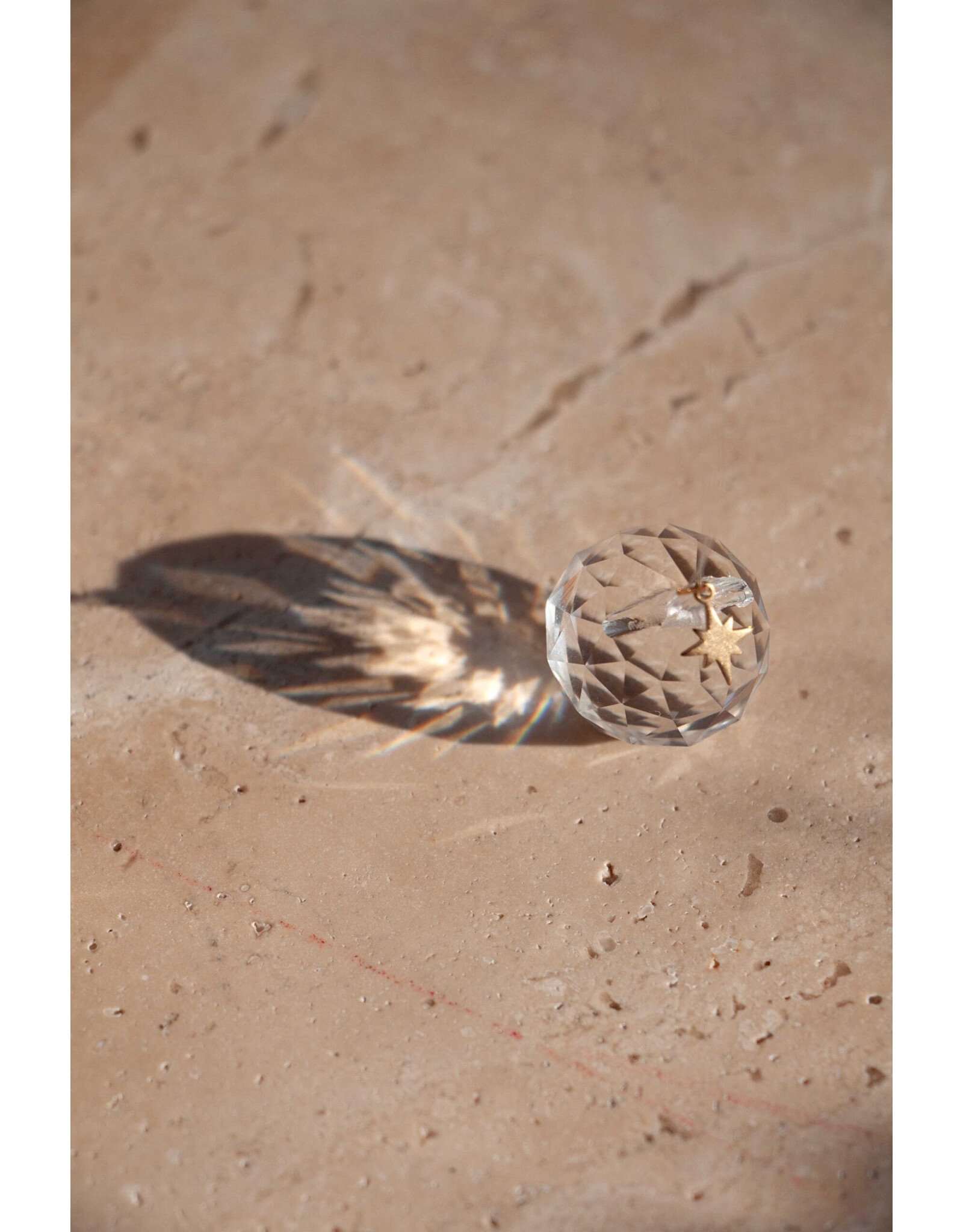 Roosmarijn Knijnenburg Zonnevanger, Schijn en geniet