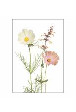 Lang & Schrödter Wenskaart - Apricotta - Dubbele kaart + Envelop