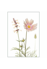 Lang & Schrödter Wenskaart - Apricotta - Dubbele kaart + Envelop