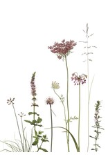 Lang & Schrödter Wenskaart - Allium & Karotte - Dubbele kaart + Envelop