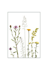 Lang & Schrödter Wenskaart - Bienenfreunde - Dubbele kaart + Envelop