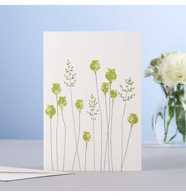 Eloise Hall Wenskaart - Poppyheads & Grass  - Dubbele Kaart + Envelop