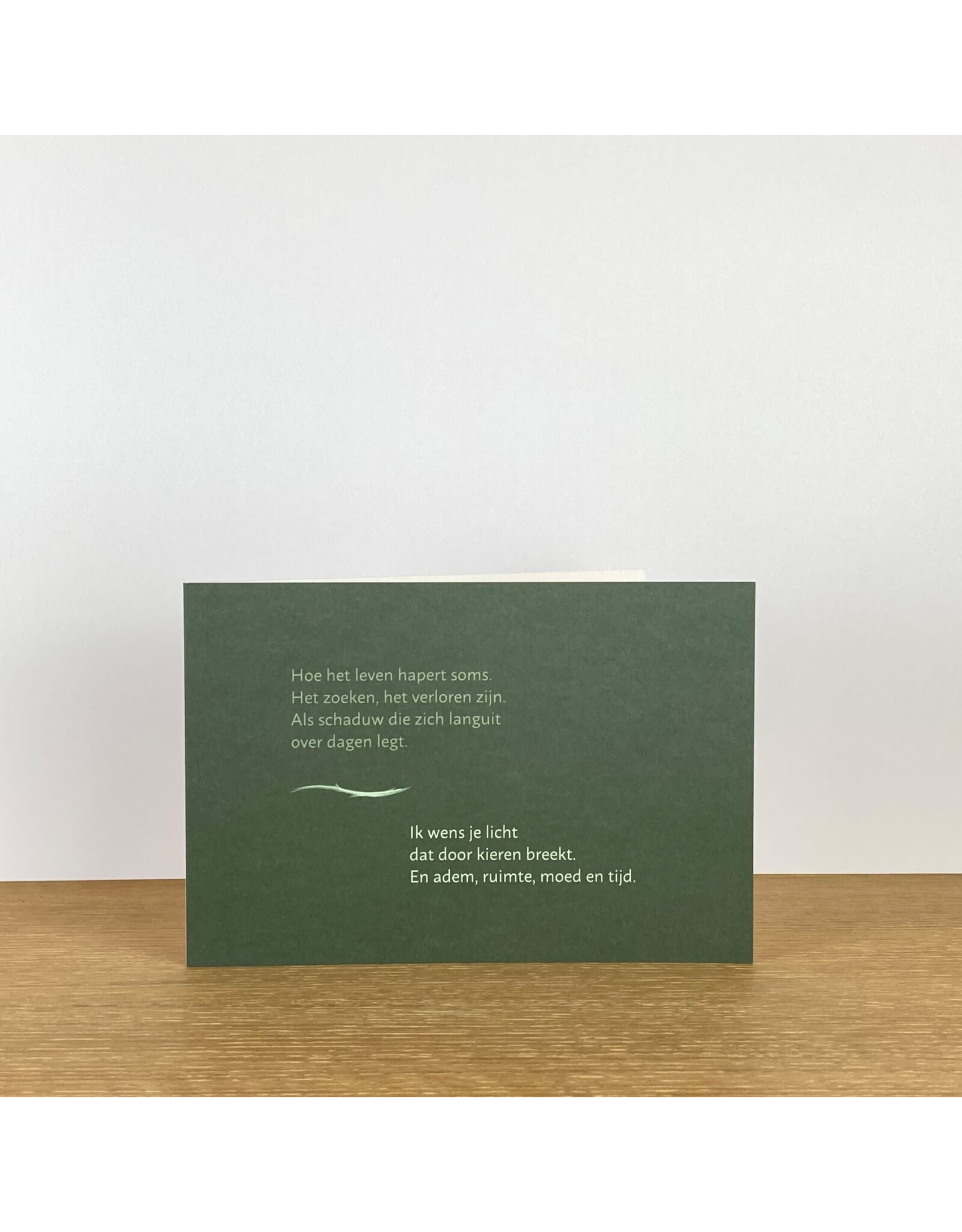 Marlies Verdoodt Wenskaart - Hoe het leven hapert soms - Dubbele kaart + Envelop