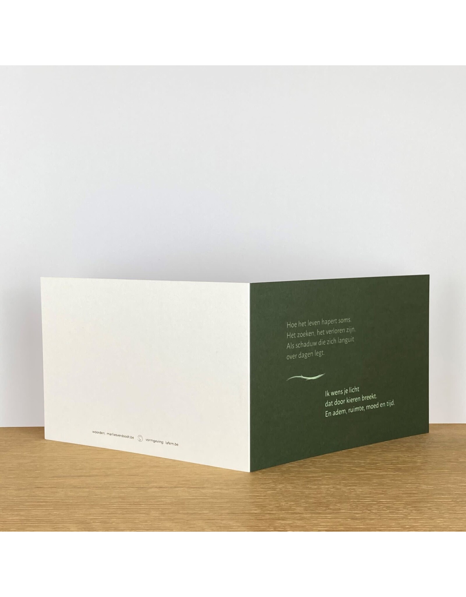 Marlies Verdoodt Wenskaart - Hoe het leven hapert soms - Dubbele kaart + Envelop