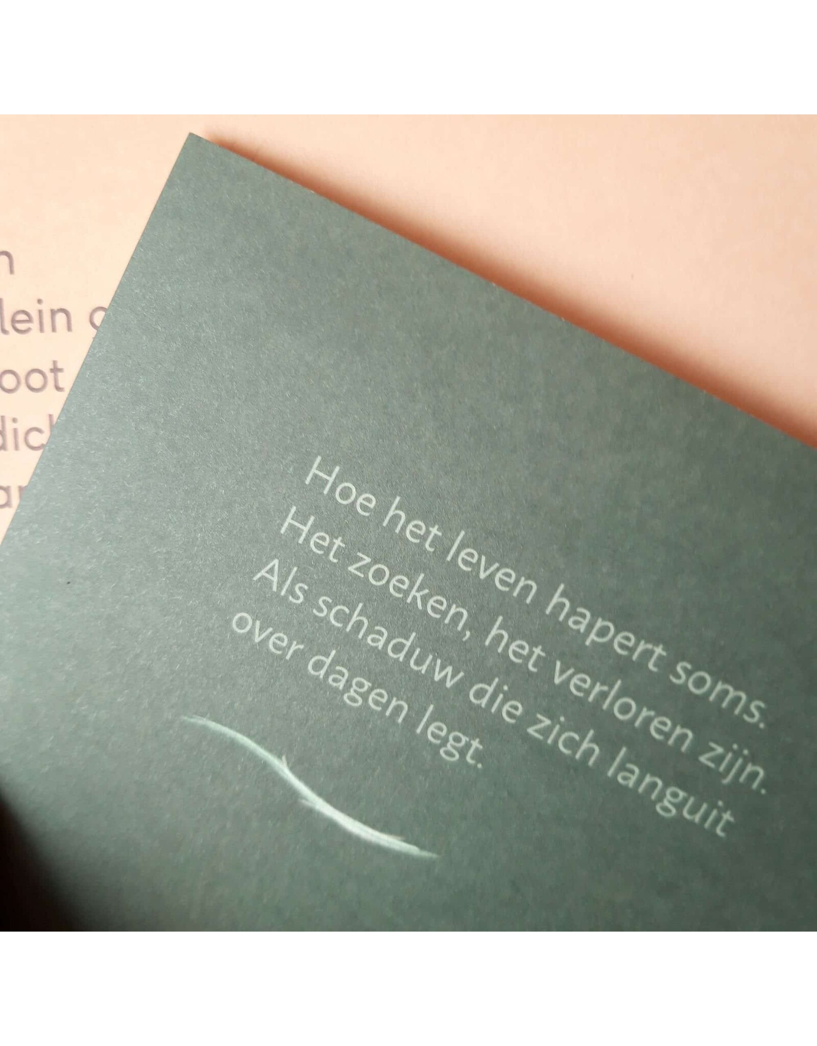 Marlies Verdoodt Wenskaart - Hoe het leven hapert soms - Dubbele kaart + Envelop