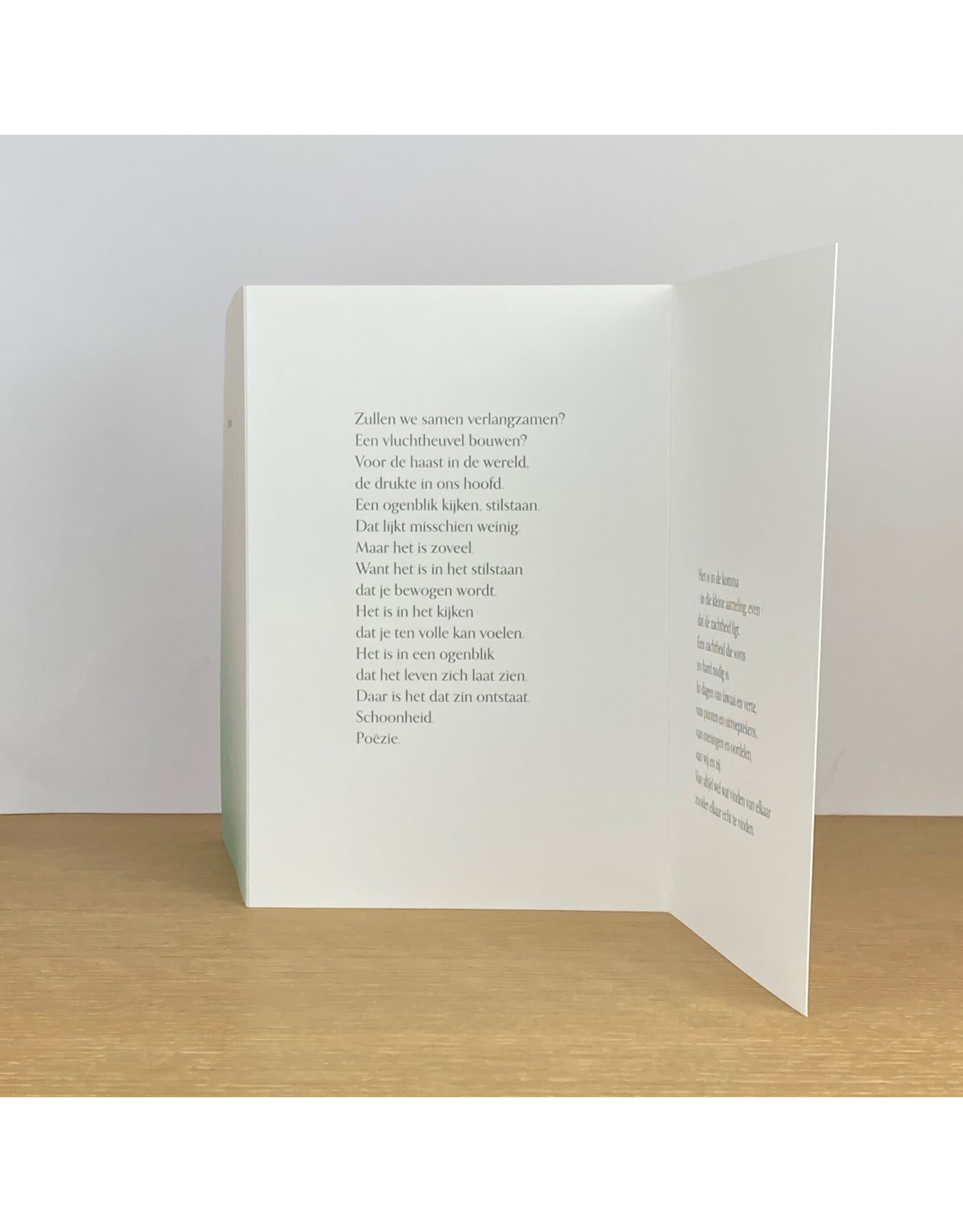 Marlies Verdoodt Wenskaart - Zullen we samen verlangzamen? - Dubbele kaart + Envelop