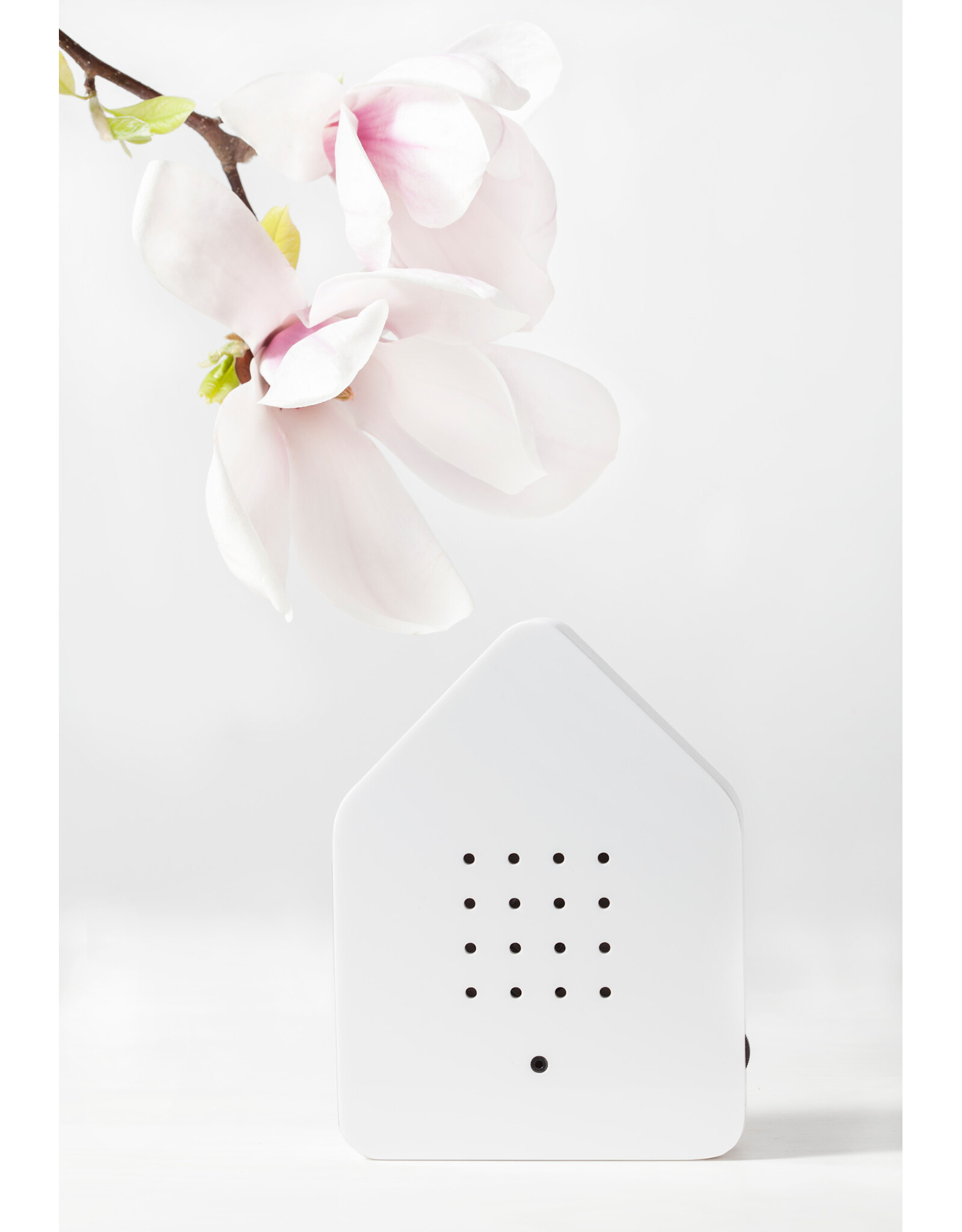 Zwitscherbox Zwitscherbox Wit - Geluiden: Merel  - B 11 x H 14,5 x D 3,5 cm