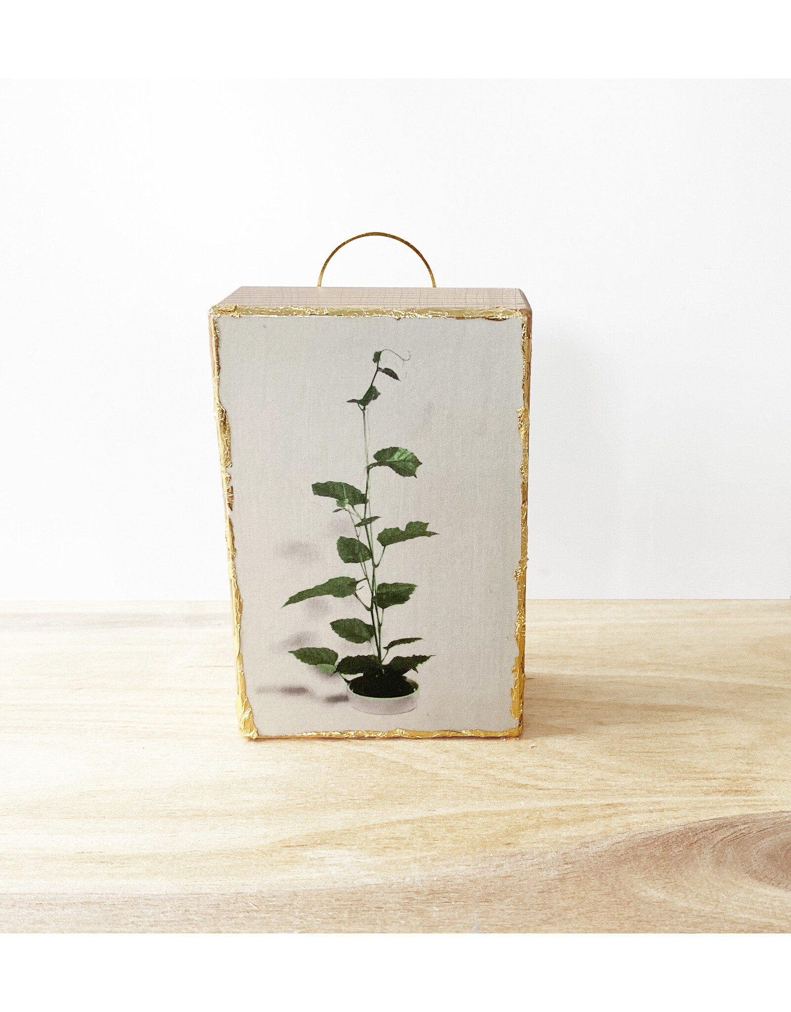 Studio The Cube Studio The Cube - Vintage plant - 6x9x3 cm