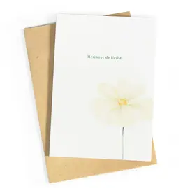 Studio Zwoane Wenskaart - Herinner de liefde - Dubbele kaart + Envelop