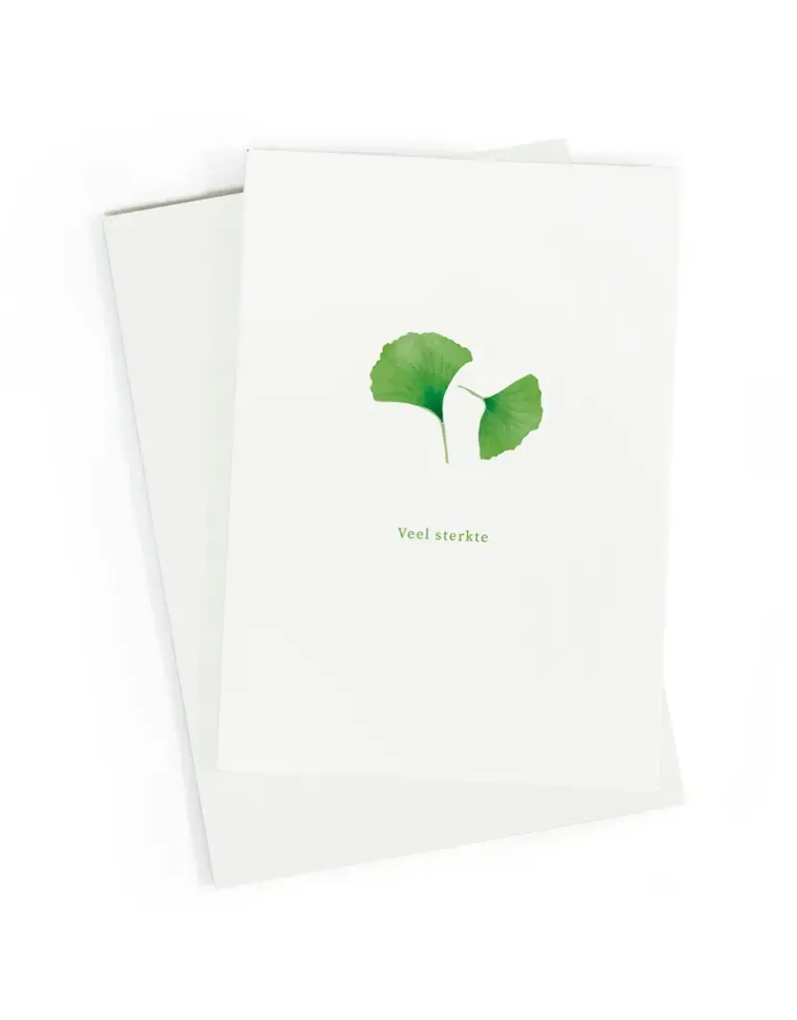 Studio Zwoane Wenskaart - Ginkgo, Veel sterkte - Dubbele kaart + Envelop