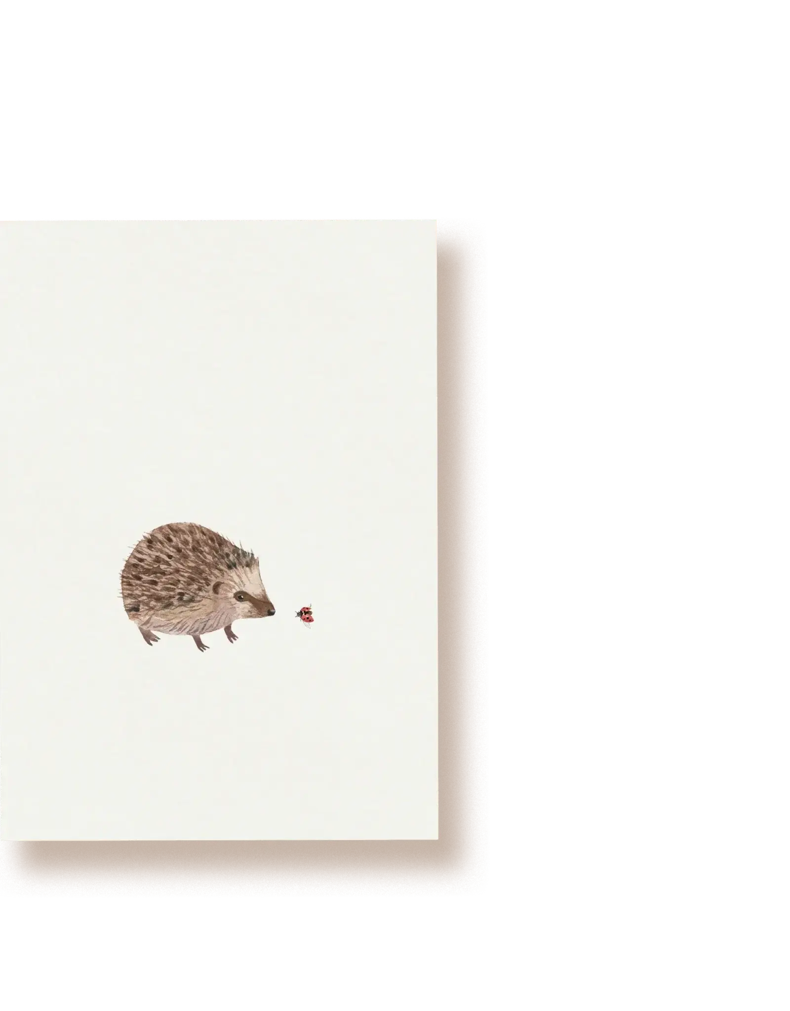 Tucán y limón Wenskaart - Egeltje met Lieveheersbeestje - Postkaart + Envelop