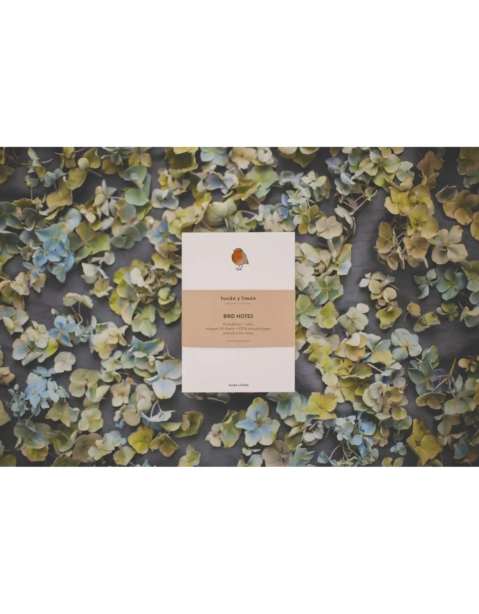 Tucán y limón Notitieblokje - Roodborstje - 10,5x14,8 cm - 50pg