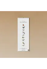 Tucán y limón Verjaardagskalender - Vogels