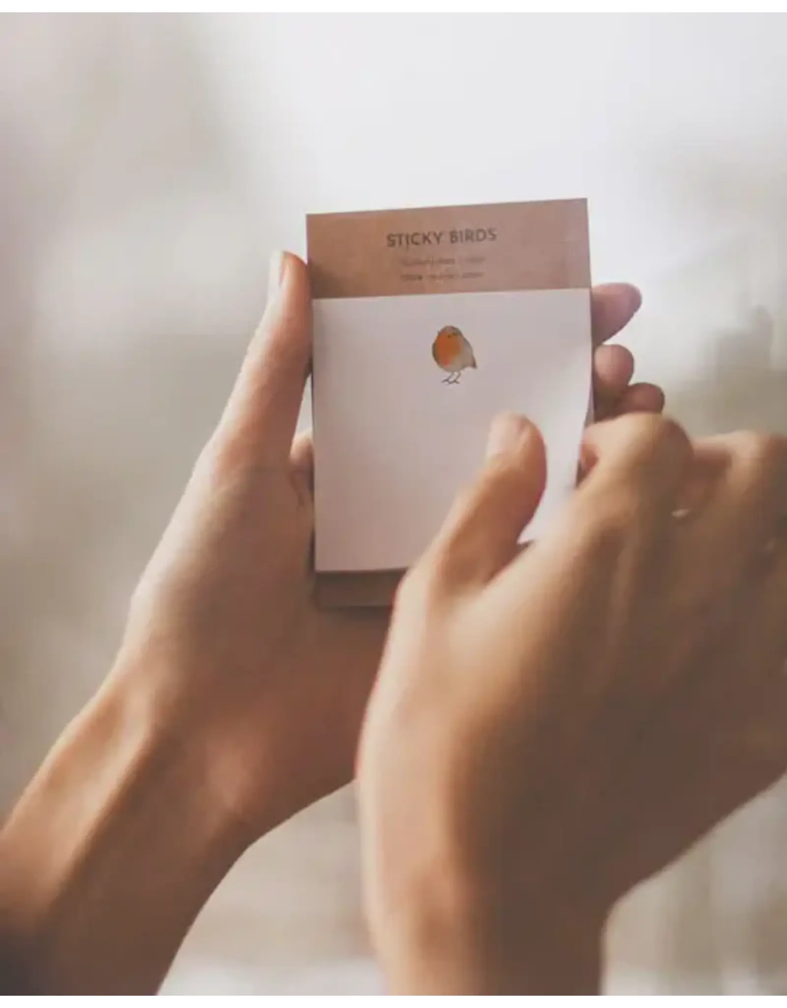 Tucán y limón Sticky Notes - Roodborstje - 7x7cm - 50st