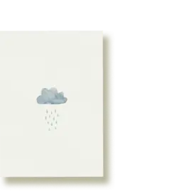 Tucán y limón Wenskaart - Regenwolk - Postkaart + Envelop