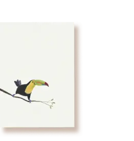 Tucán y limón Wenskaart - Vissende Tucan - Postkaart + Envelop