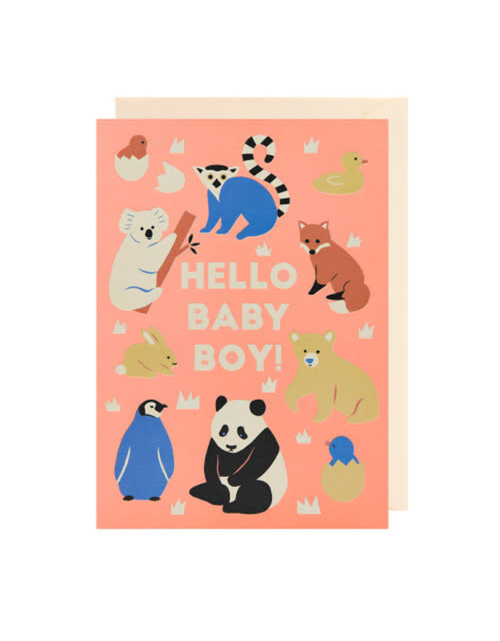 Naomi Wilkonson Wenskaart - Hallo Baby Boy - Dubbele kaart + Envelop