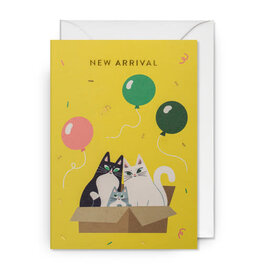 Essi Kimpimaki Wenskaart - Kat, New Arrival - Dubbele kaart + Envelop