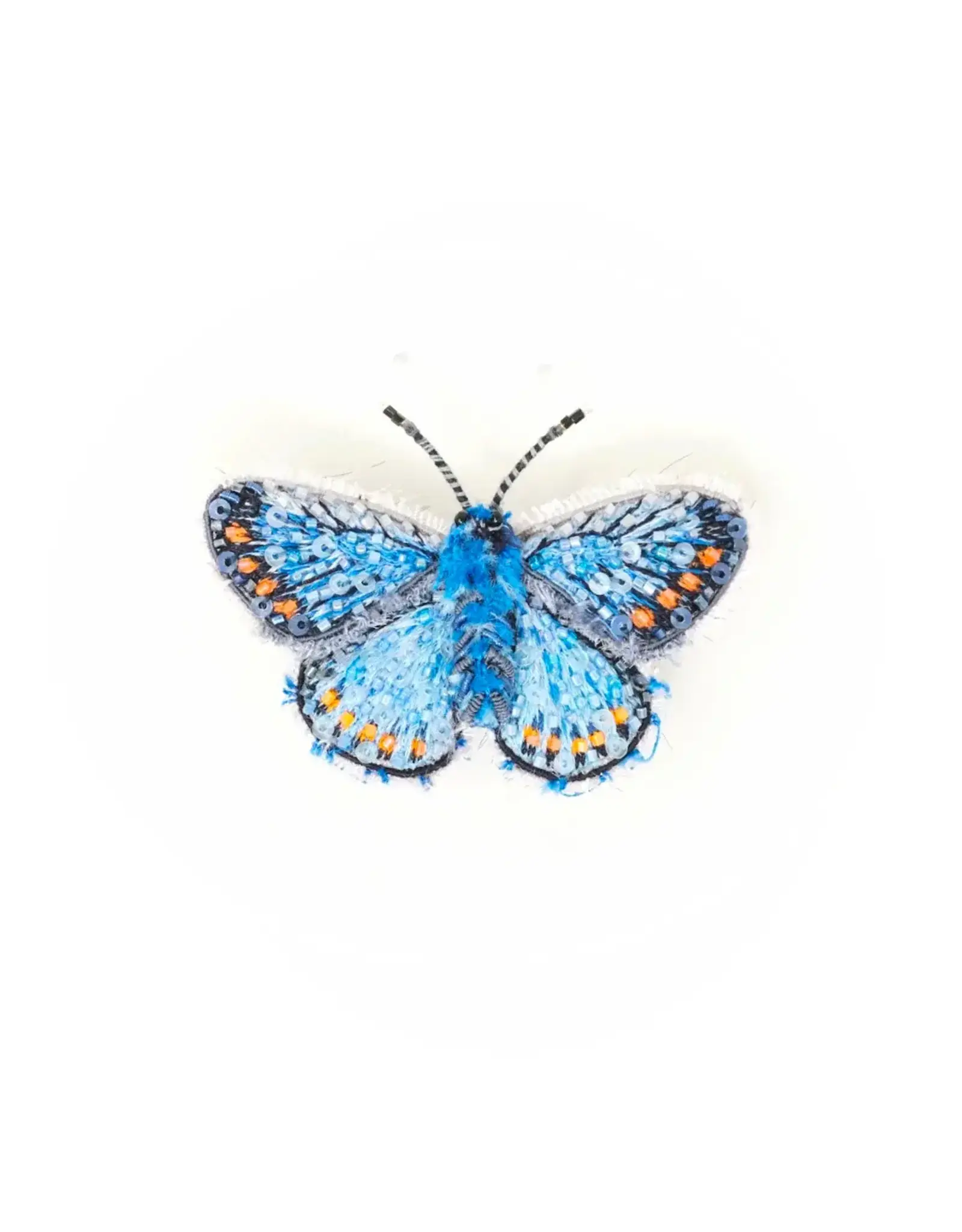 Trovelore Broche - Adonis Blue Butterfly - 4,5x6,1cm