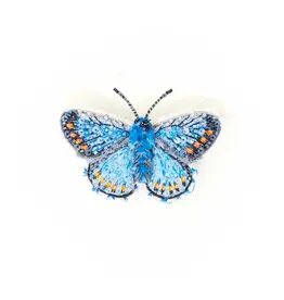 Trovelore Broche - Adonis Blue Butterfly - 4,5x6,1cm