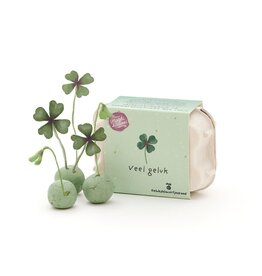 Don Estilo Bloemenboeket in eierdoosjes - Veel geluk!