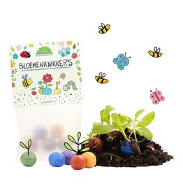 Don Estilo Bloemknikkers - 5st