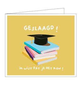Mail-Box Wenskaart - Geslaagd! ik wist dat je het kon - Dubbele kaart + Envelop