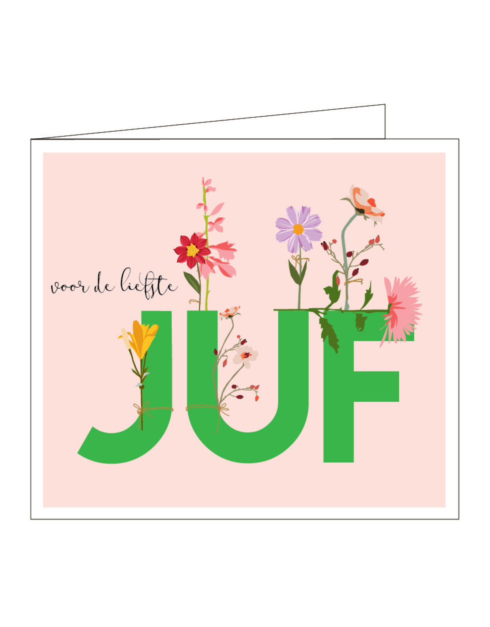 Mail-Box Wenskaart - Voor de liefste juf - Dubbele kaart + Envelop