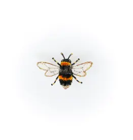 Trovelore Broche - Humble Bee