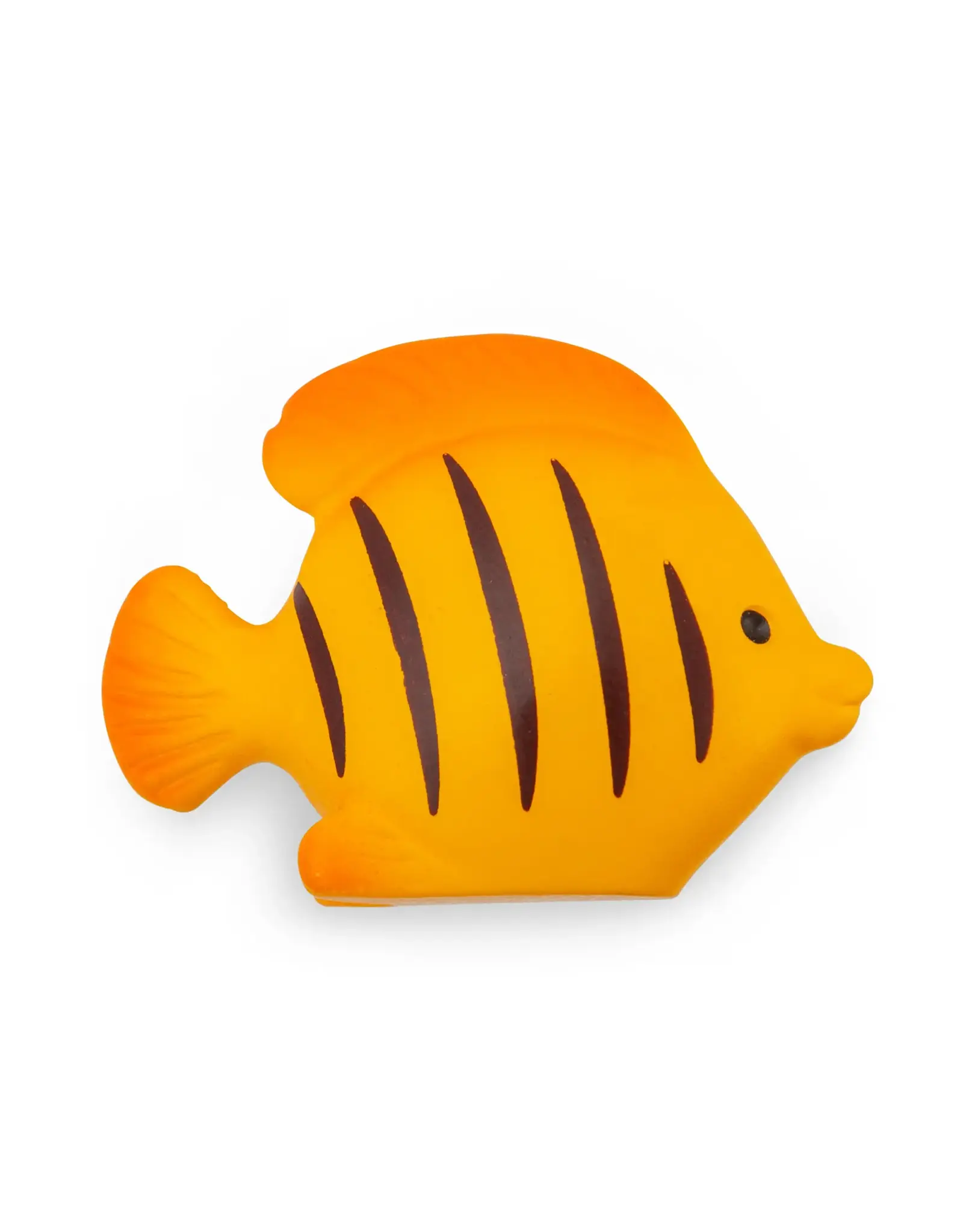 Kikkerland Magneet - Fish - 5st