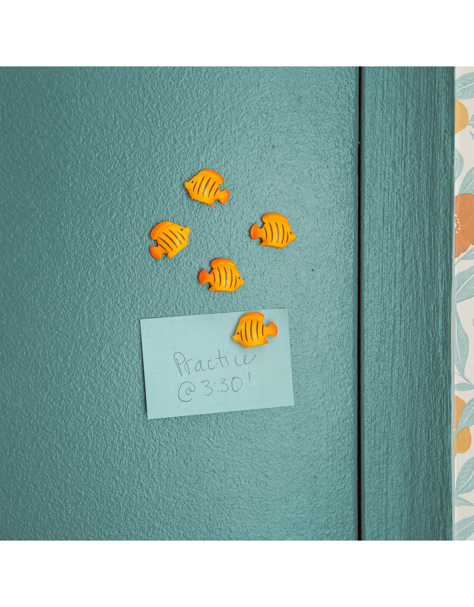 Kikkerland Magneet - Fish - 5st