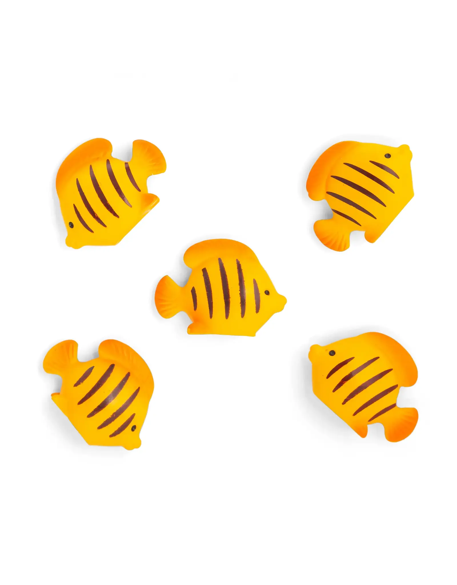 Kikkerland Magneet - Fish - 5st