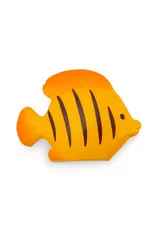 Kikkerland Magneet - Fish - 5st