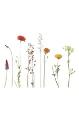 Lang & Schrödter Wenskaart - Wiese Bunt - Dubbele kaart + Envelop