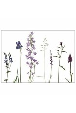 Lang & Schrödter Wenskaart - Wiese Bunt - Dubbele kaart + Envelop