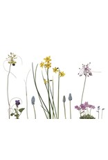 Lang & Schrödter Wenskaart - Zwiebelblüher - Dubbele kaart + Envelop