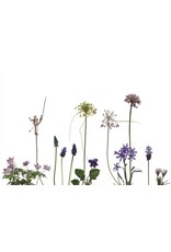 Lang & Schrödter Wenskaart - Zwiebelblüher - Dubbele kaart + Envelop