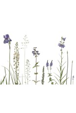 Lang & Schrödter Wenskaart - Wiese Blau - Dubbele kaart + Envelop