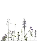 Lang & Schrödter Wenskaart - Wiese Blau - Dubbele kaart + Envelop