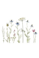 Lang & Schrödter Wenskaart - Nigella - Dubbele kaart + Envelop