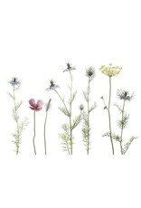 Lang & Schrödter Wenskaart - Nigella - Dubbele kaart + Envelop