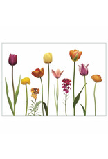 Lang & Schrödter Wenskaart - Tulpen - Dubbele kaart + Envelop