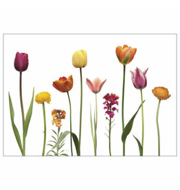 Lang & Schrödter Wenskaart - Tulpen - Dubbele kaart + Envelop