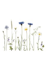 Lang & Schrödter Wenskaart - Kornblumenwiese - Dubbele kaart + Envelop